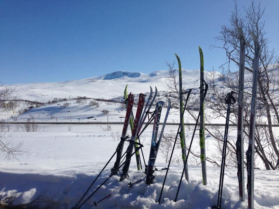 Utsikt fra hytteveggen mot sør. Galleribilde