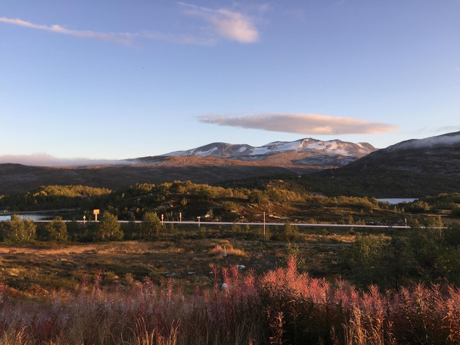 sommerbilde fra hytteveggen mot sør. Galleribilde