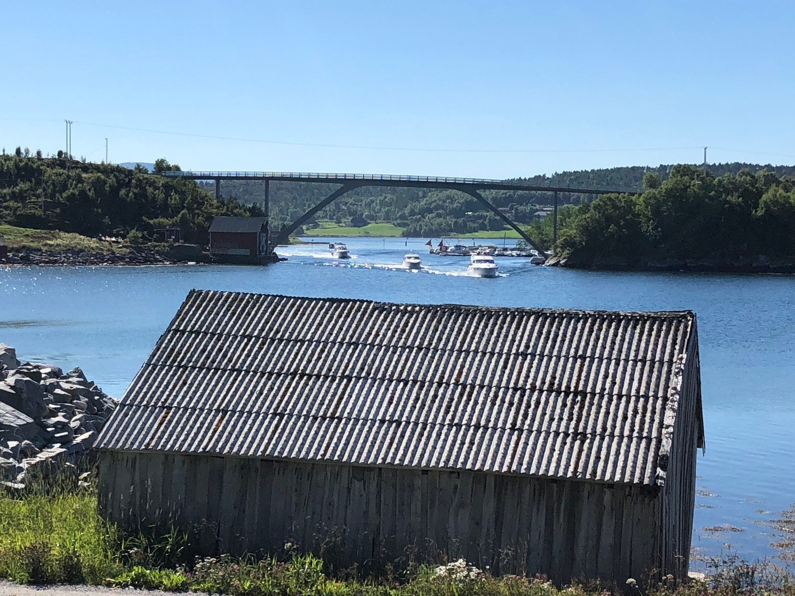 Idylliske Lesundet med yrende båtliv om sommeren Galleribilde