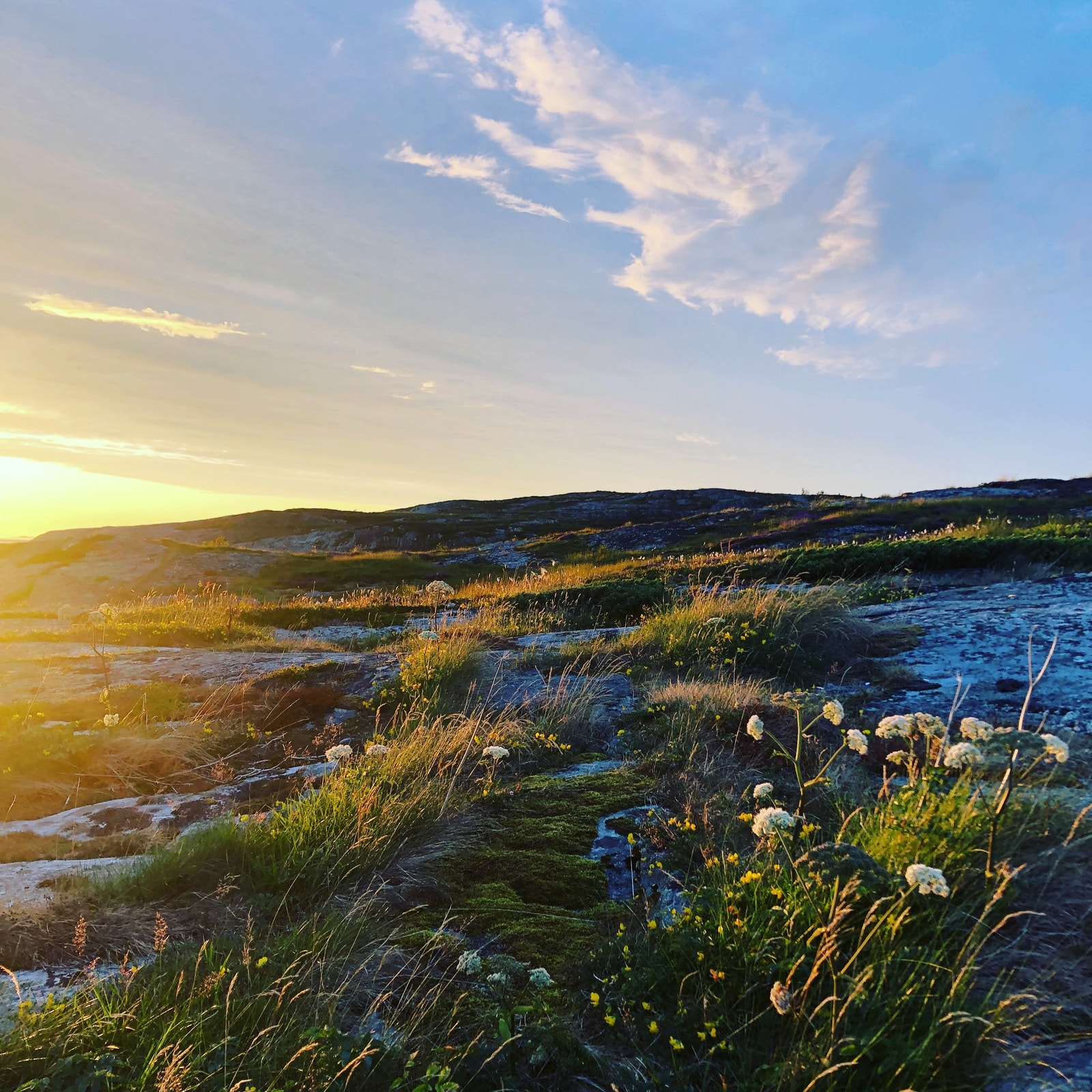 Området rundt Skjærgårdsparken byr på flotte svaberg med en unik kystfauna og dyreliv med havørn, elg, hjort og rev. Galleribilde