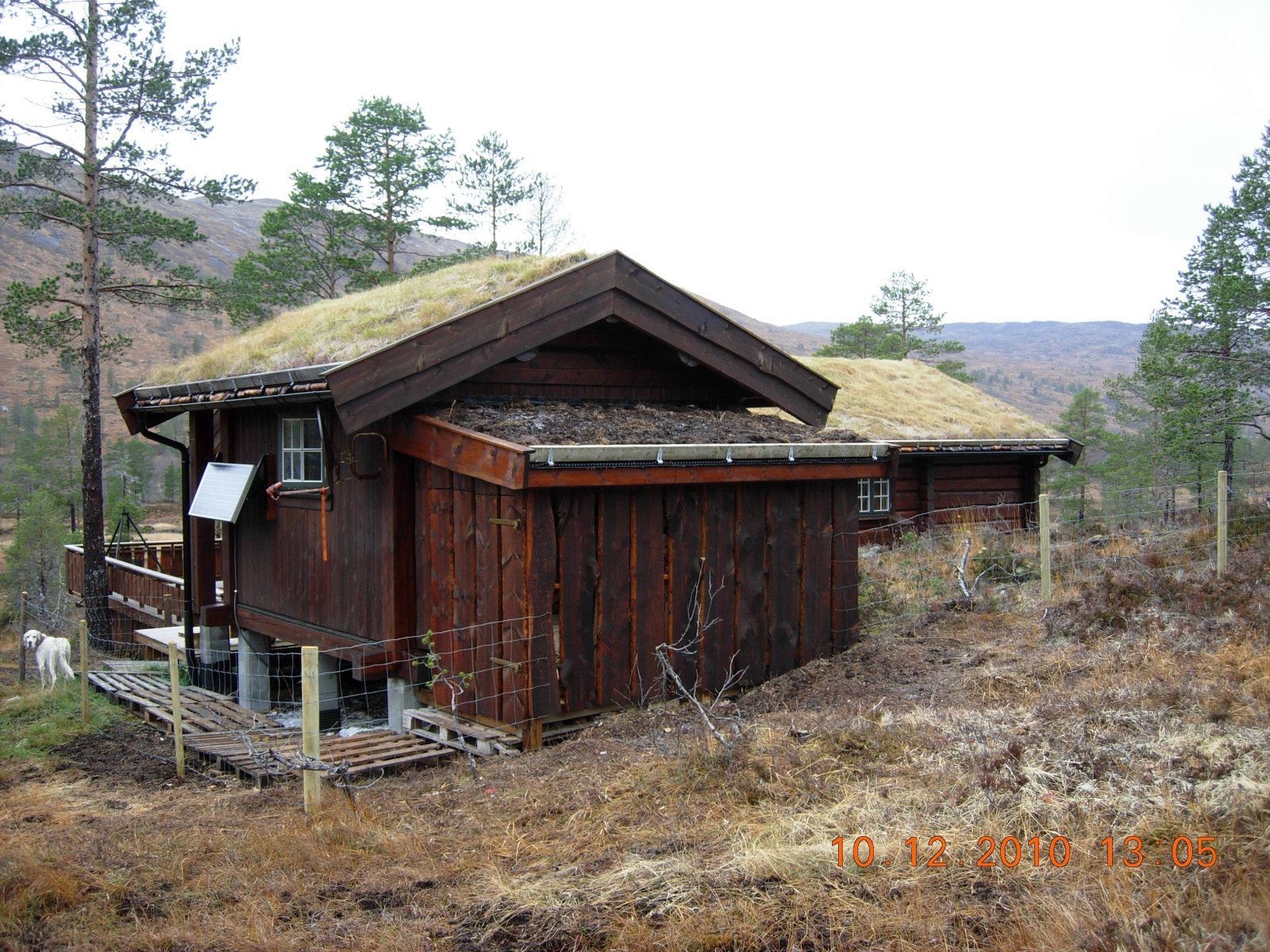 Uthus med vedbod Galleribilde