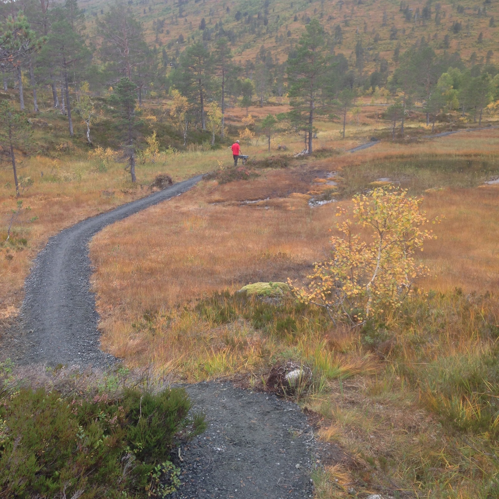 Grussti fra parkeringsplass Galleribilde