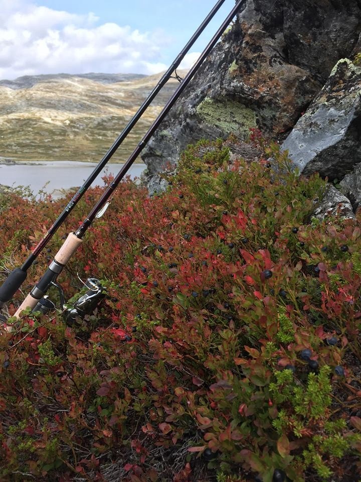 Bærplukking og fiske. En fin kombinasjon. Galleribilde