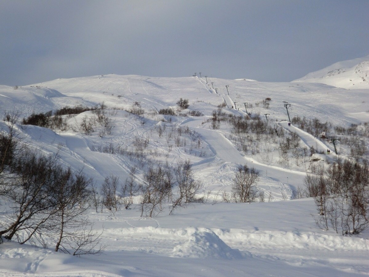 Alpinbakken bak hytta Galleribilde