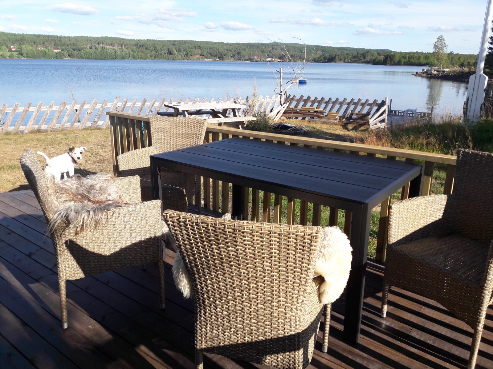 Terrassen Galleribilde