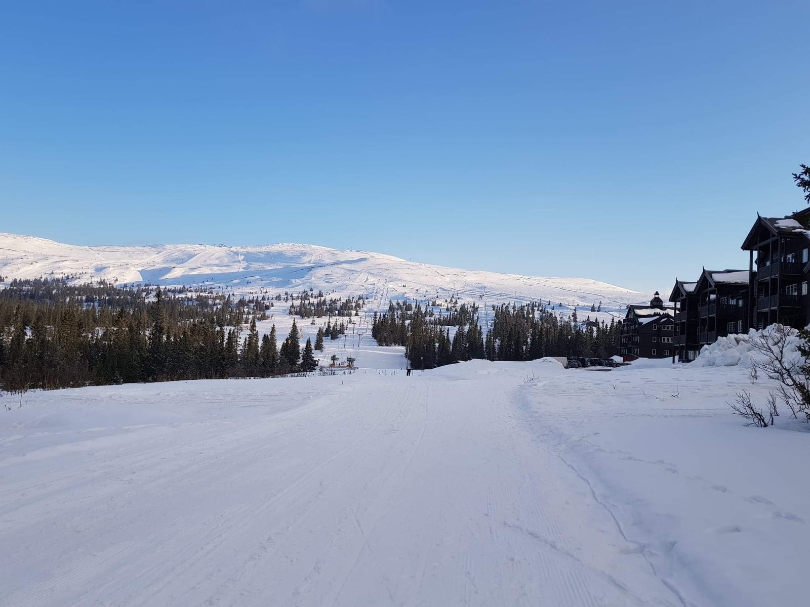 Ski-in/ski-out Galleribilde