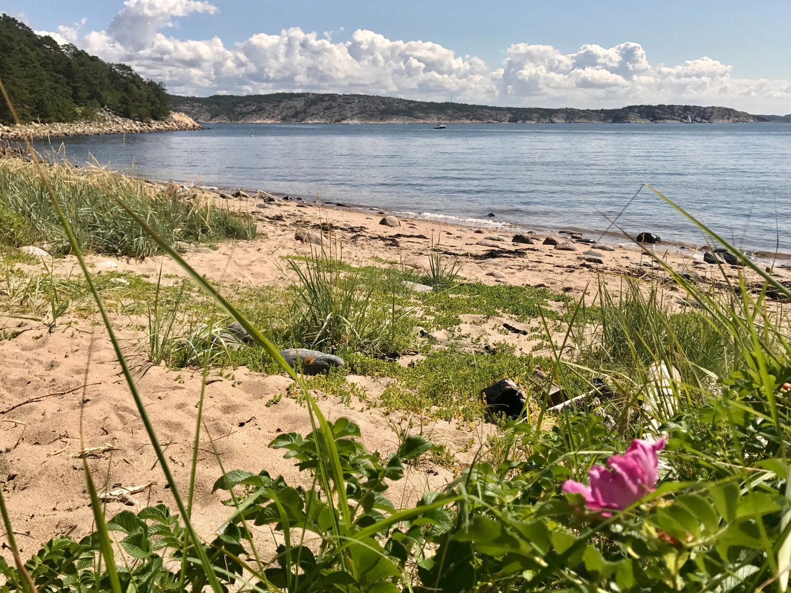 Fiskekroken. Strand 10 min. gange fra hytta - helt usjenert Galleribilde