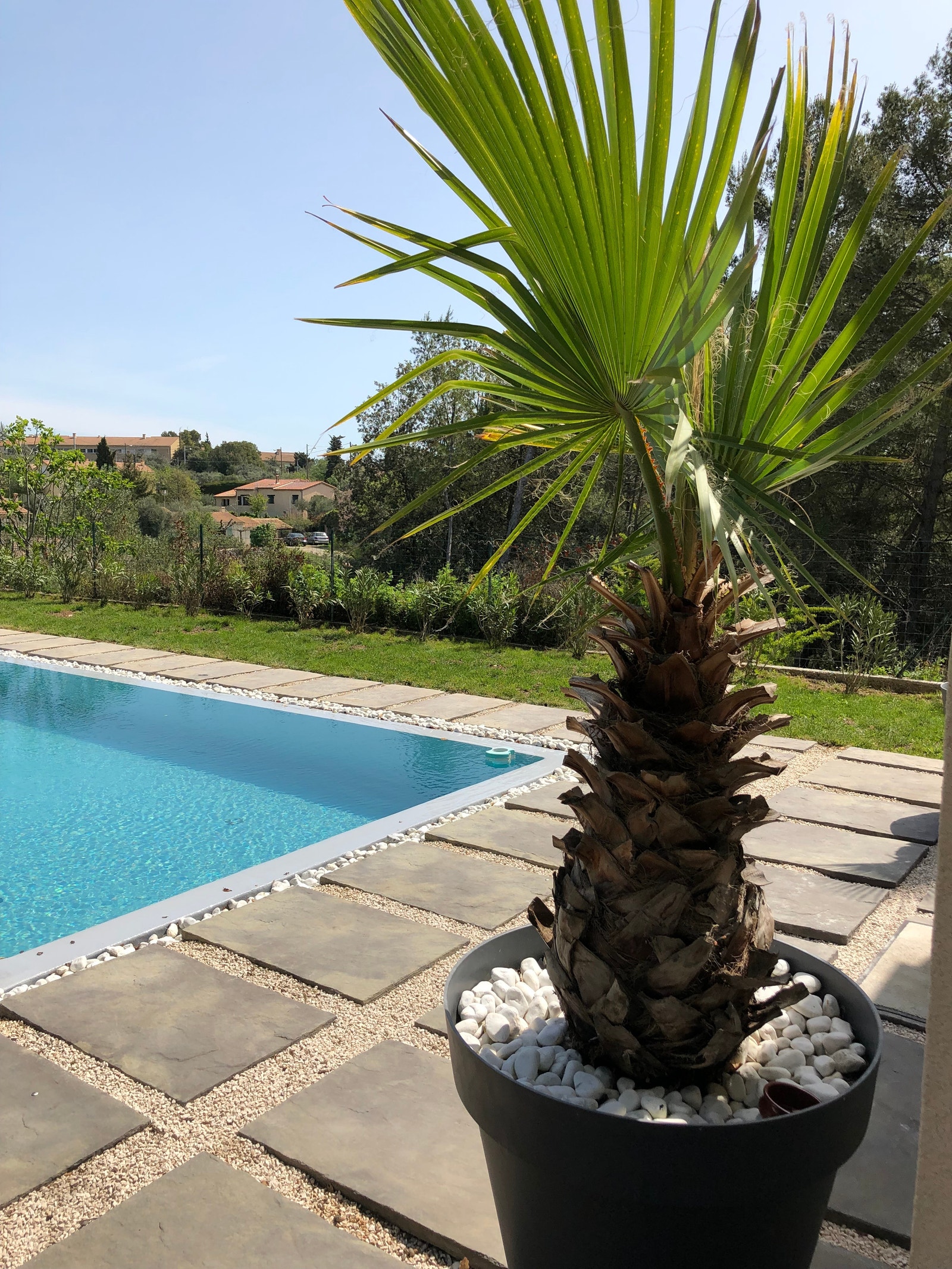 Hagen ved bassenget Galleribilde