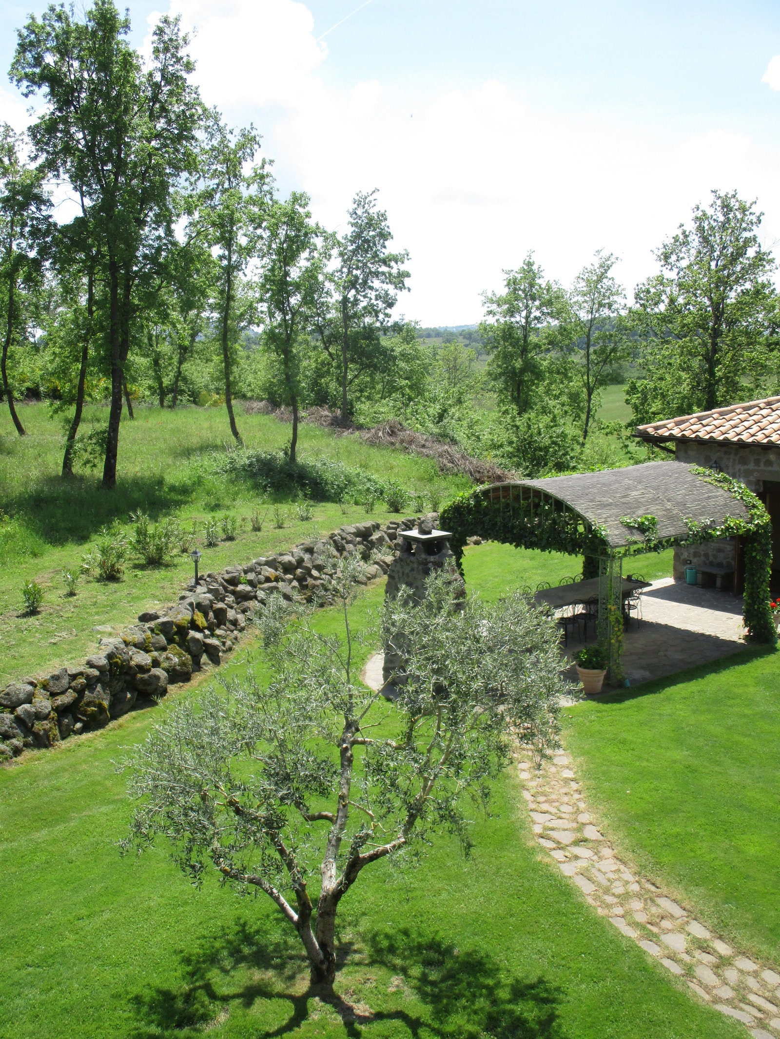 Naturtomt Galleribilde