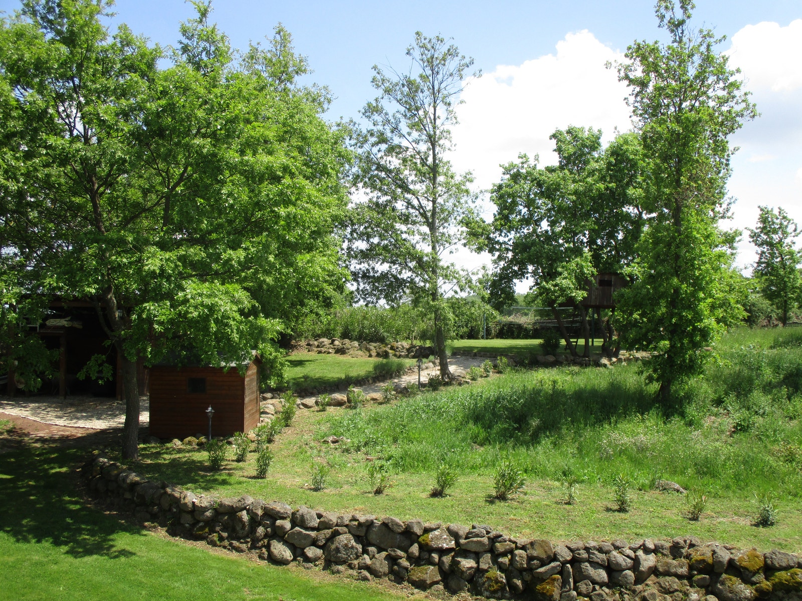 Opp mot trehytta Galleribilde