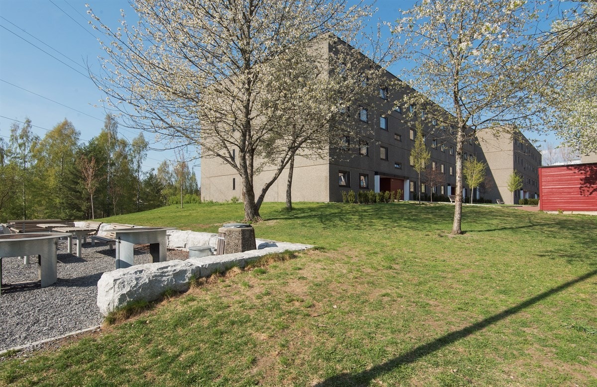 Området byr på rikelig med grøntarealer man kan disponere fritt Galleribilde