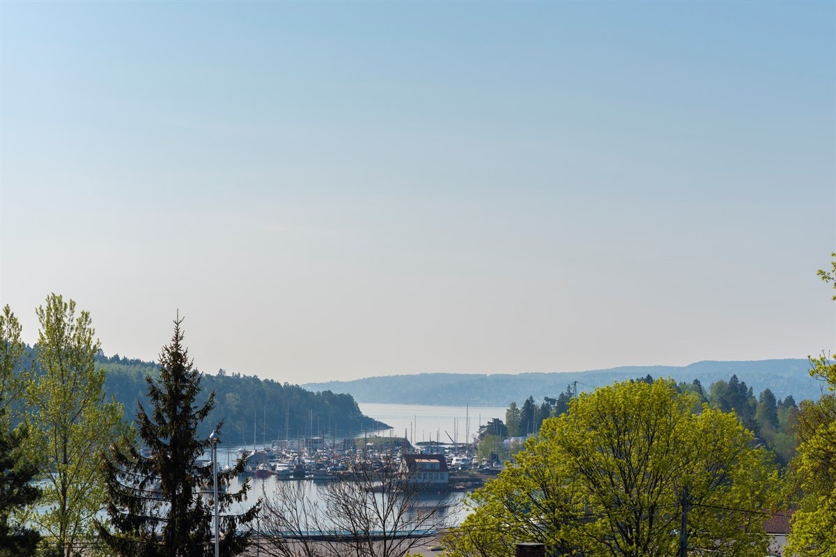 Utsikt over Bestumkilen. Galleribilde