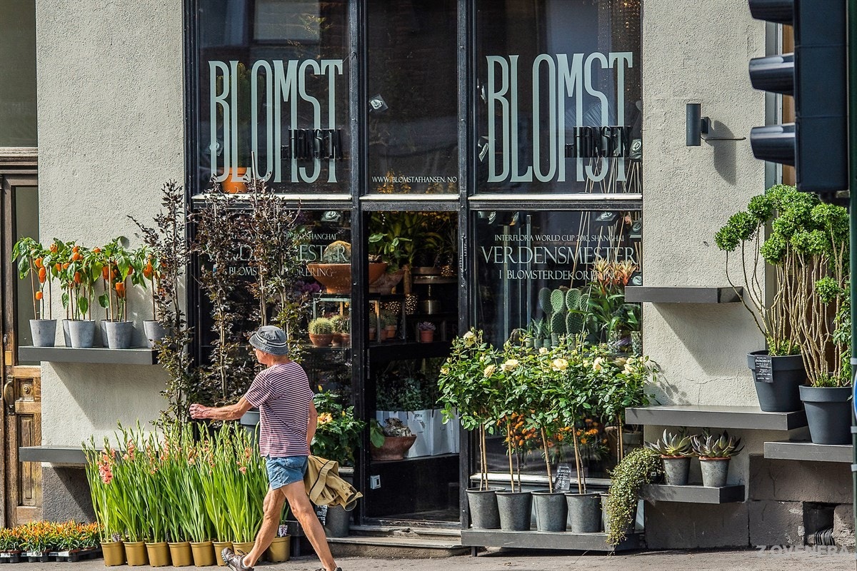 Områdebilde - St. Hanshaugen Galleribilde