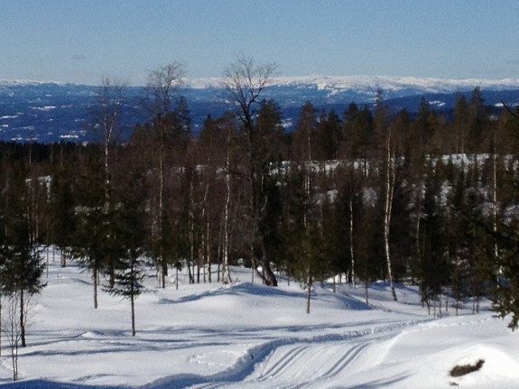 Flott utsikt mot Gaustatoppen, Vikerfjell og Norefjell Galleribilde