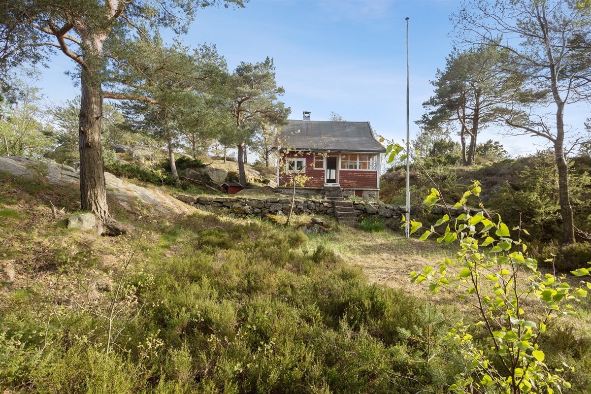 Hytten og utearealet utenfor Galleribilde