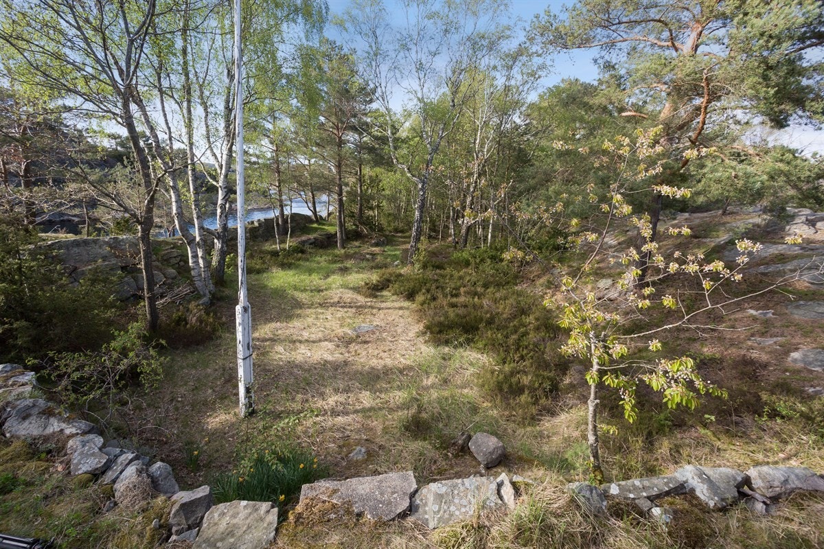 Uteplassen utenfor hytten Galleribilde