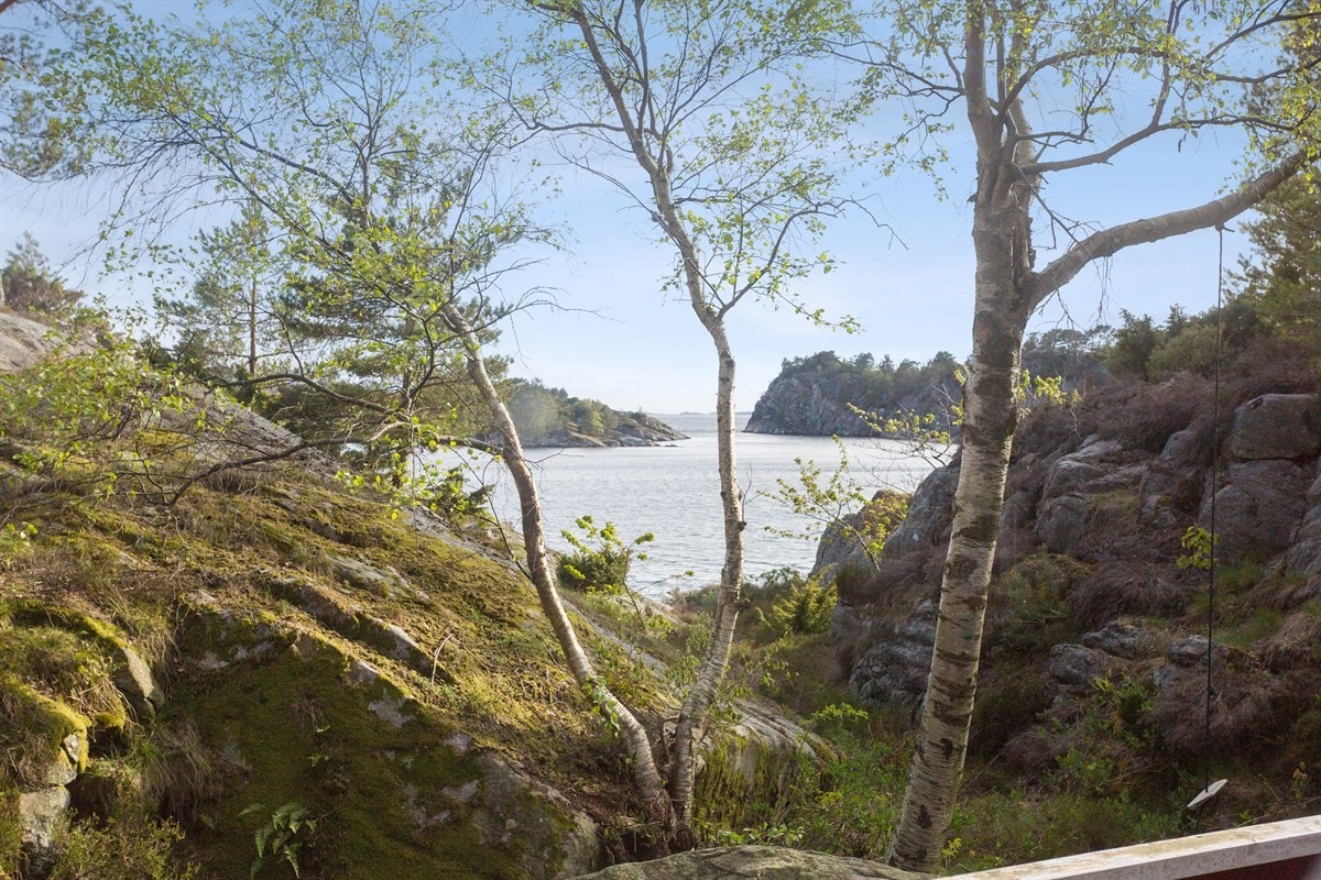 Utsikten fra terrassen mot båtleia Galleribilde