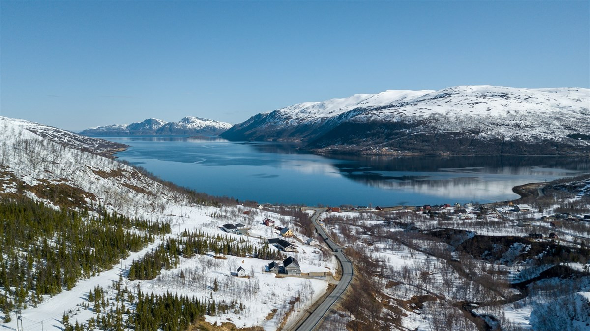 Henrikvika