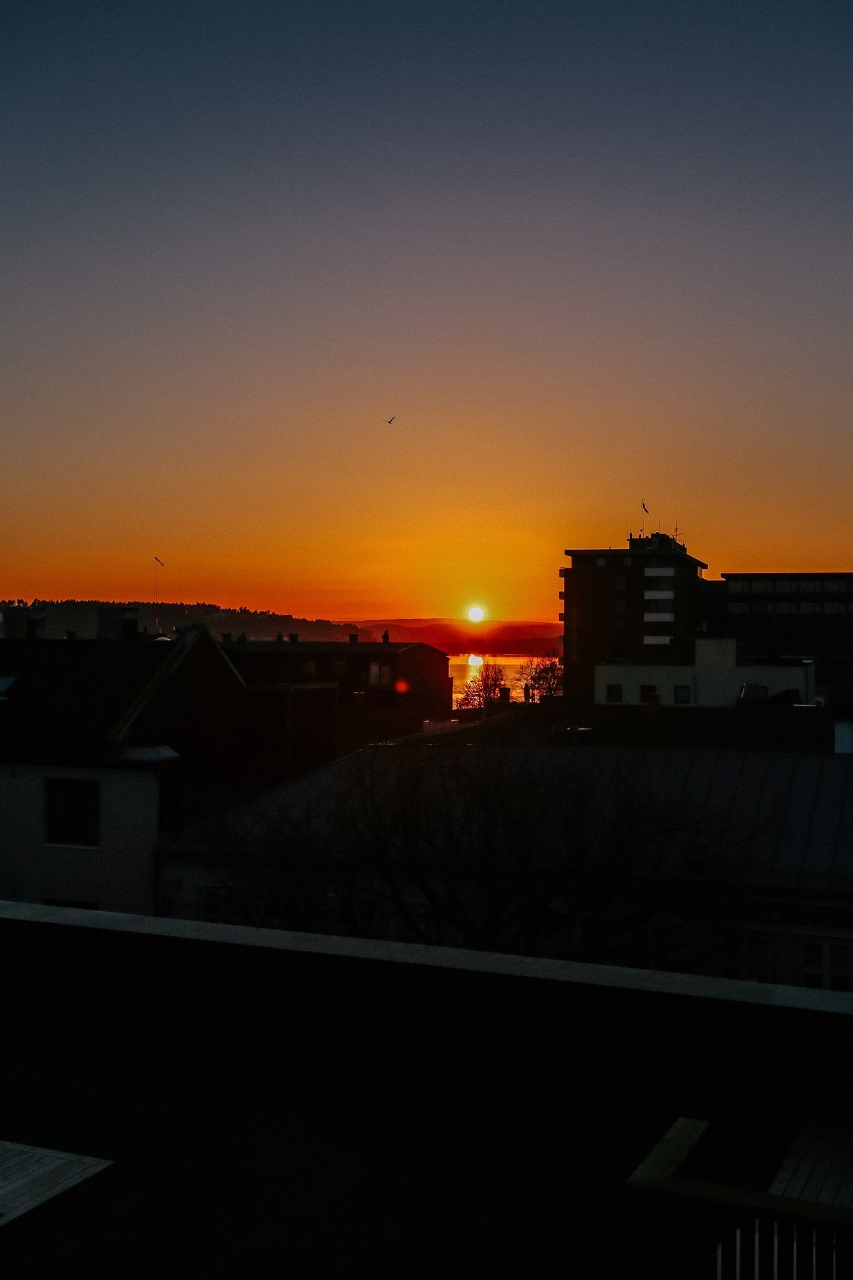 Solnedgang Galleribilde