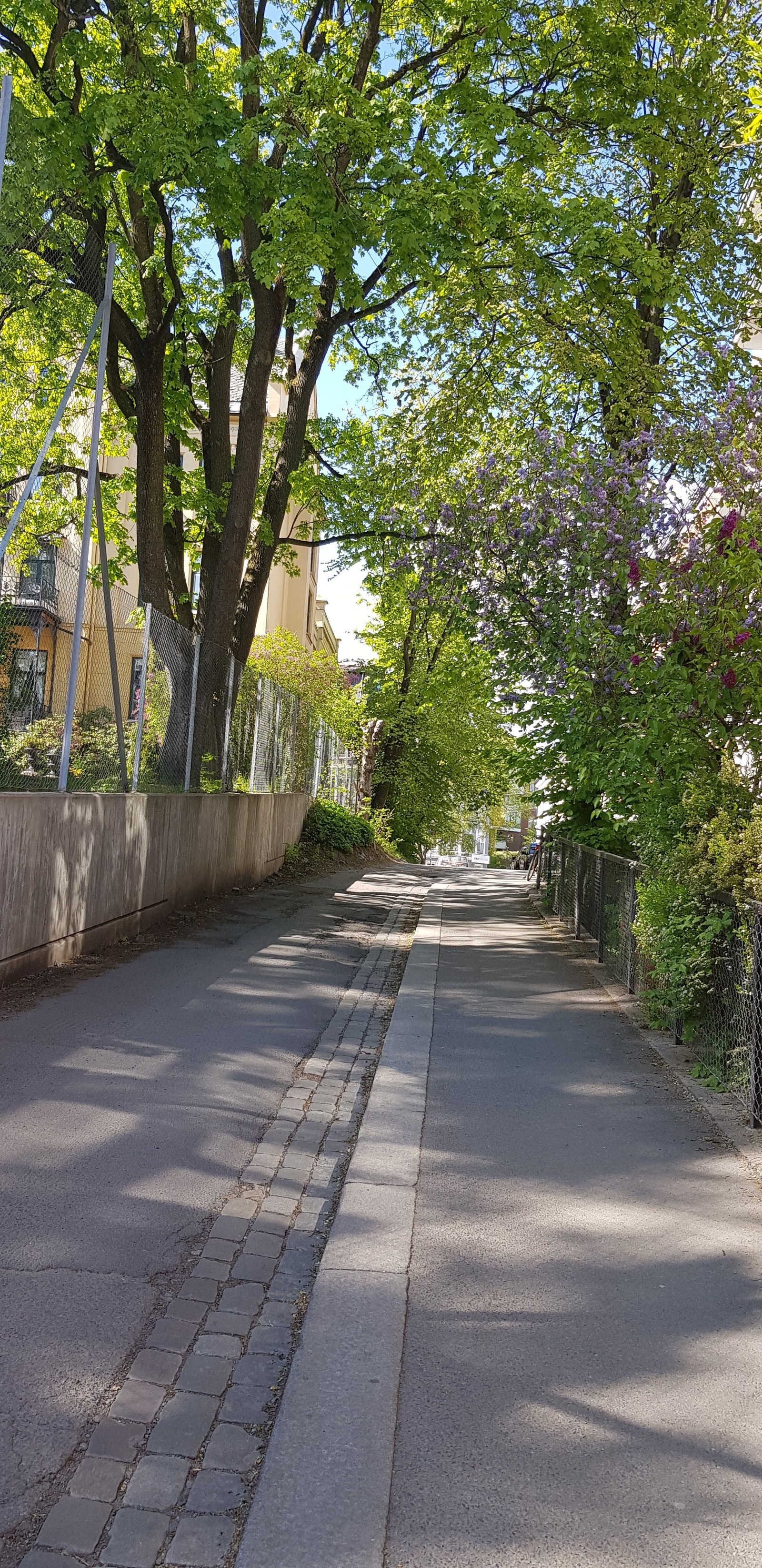 Inngang fra Bergsliensgate Galleribilde