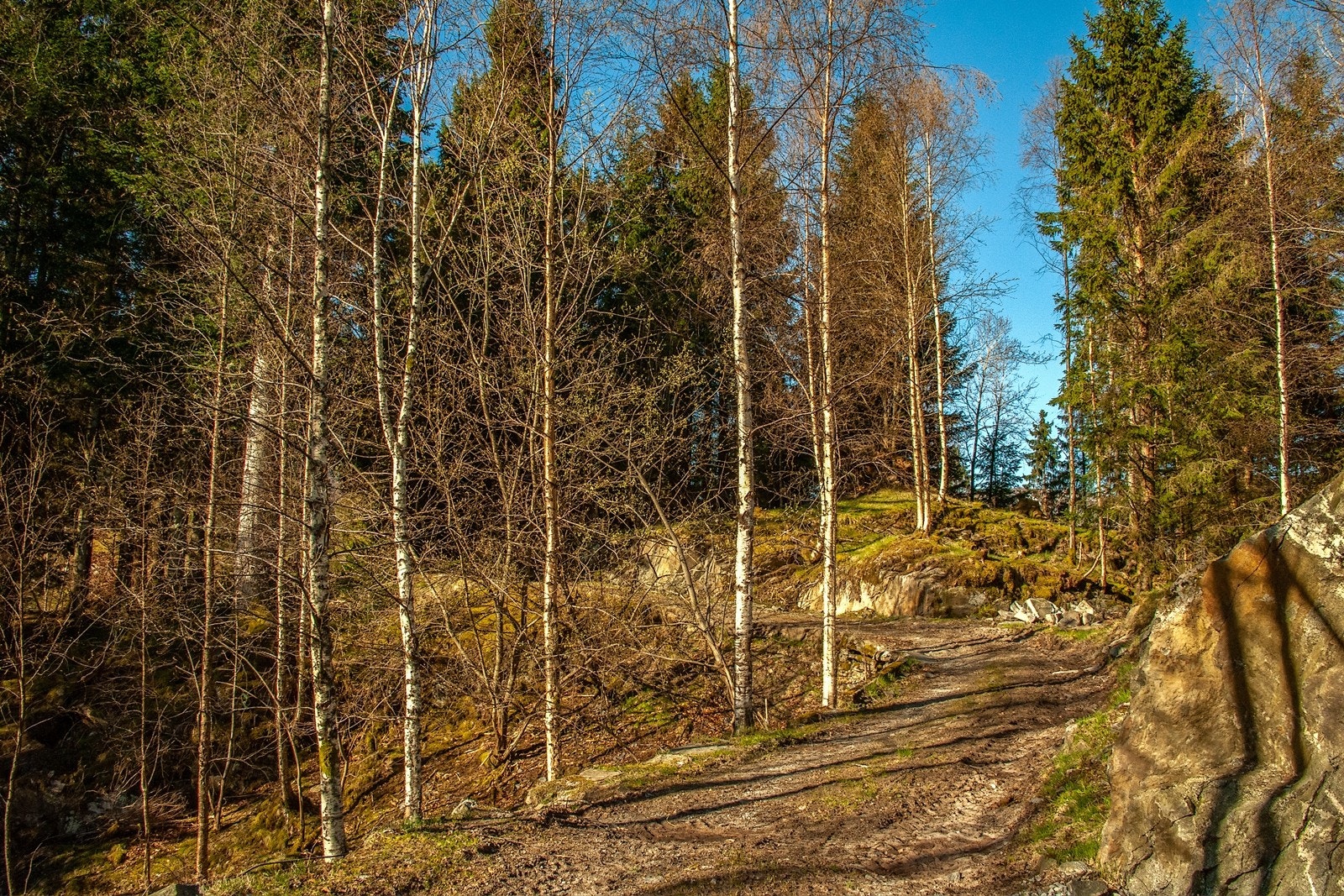 Tursti/traktorvei Galleribilde