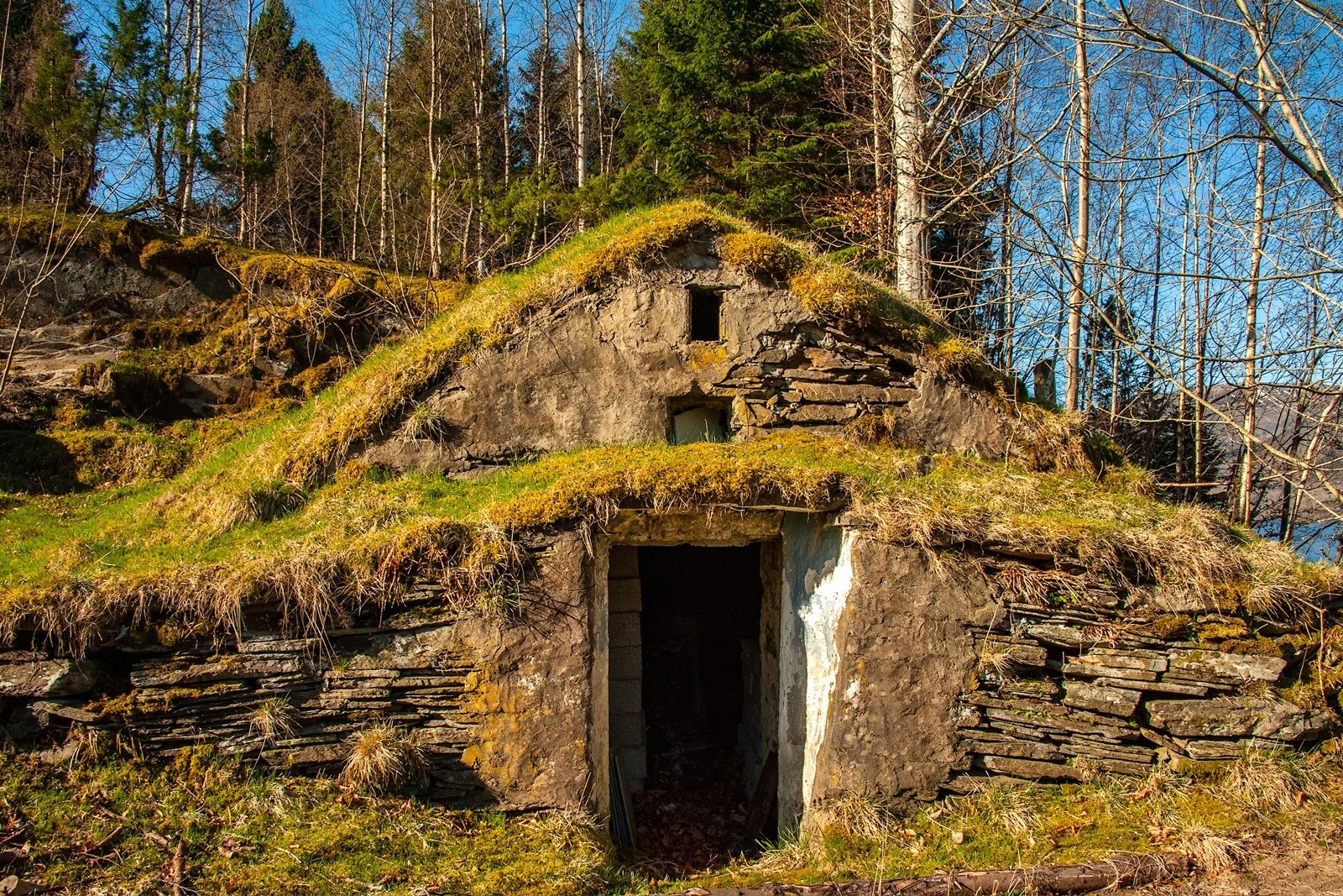 Jordkjeller Galleribilde