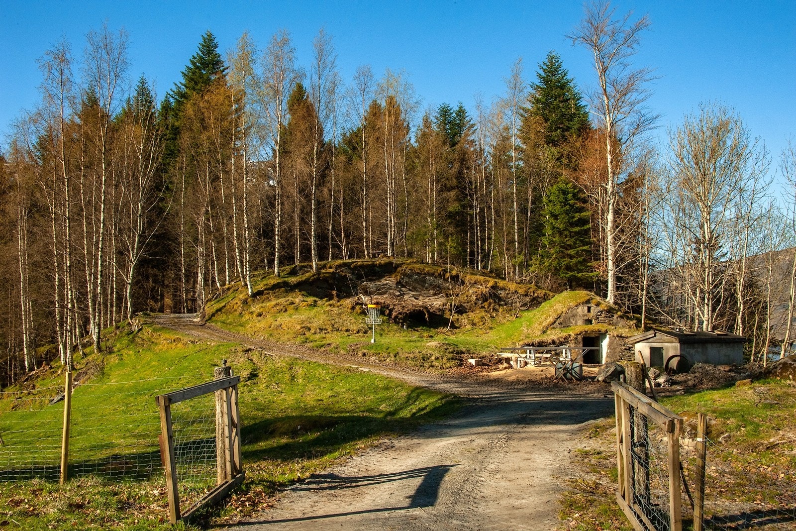 Jordkjeller Galleribilde