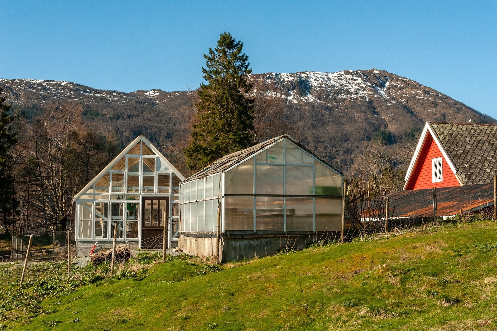 Drivhus Galleribilde