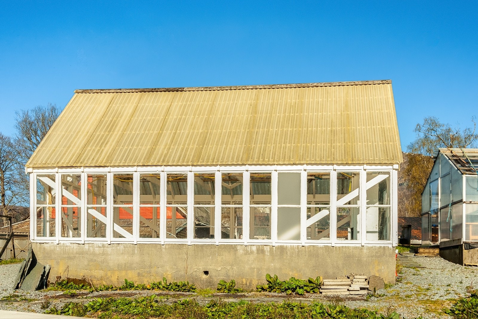 Drivhus Galleribilde