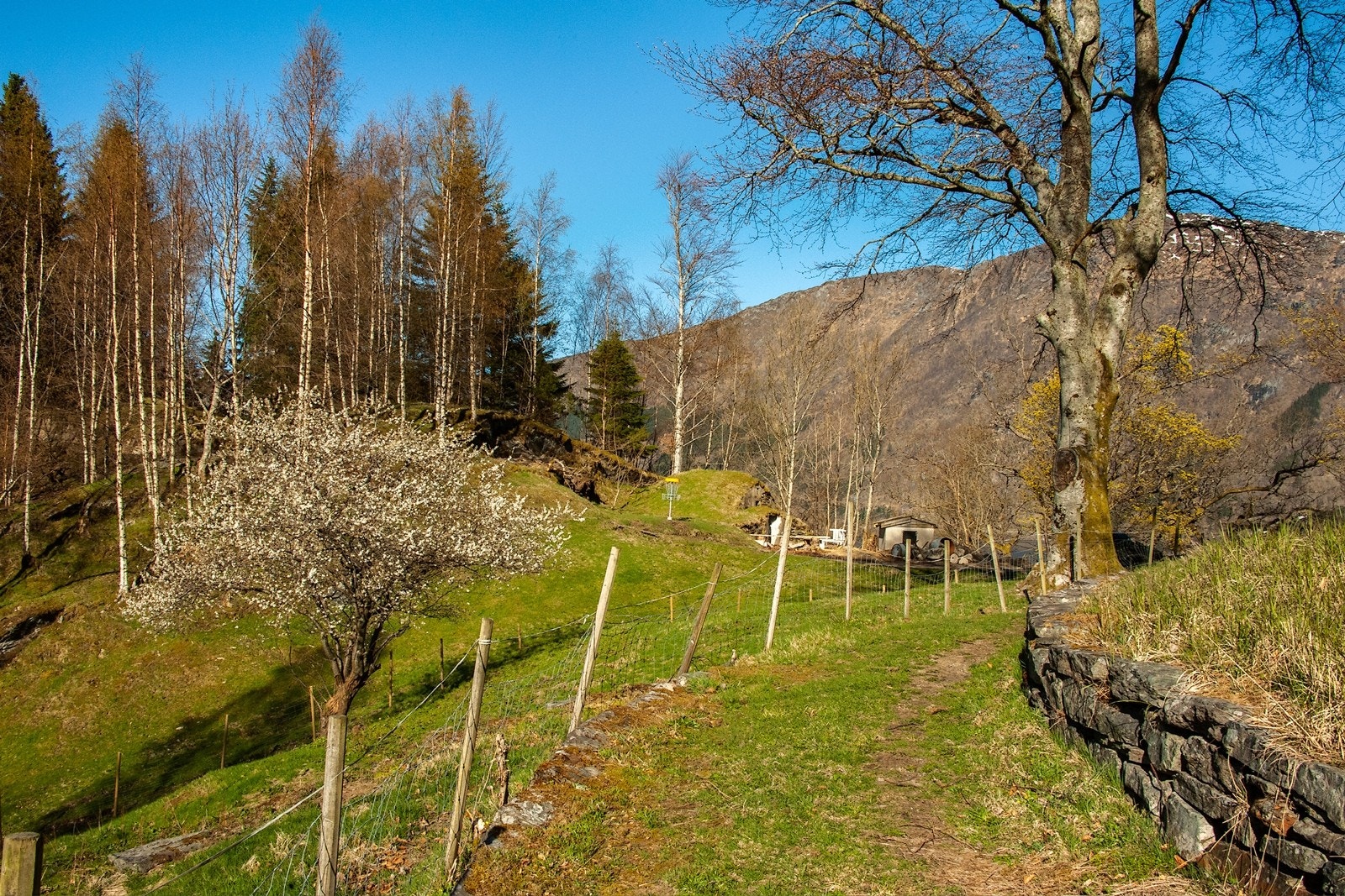 Taktorvei Galleribilde