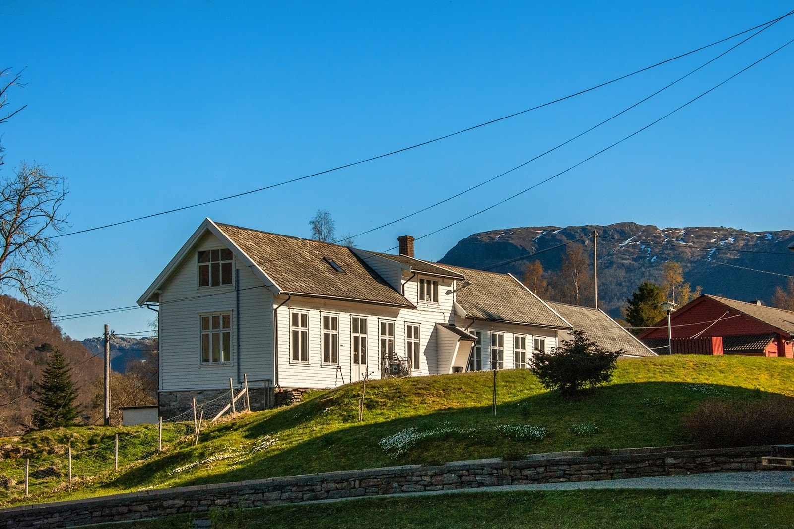 Klubben Galleribilde