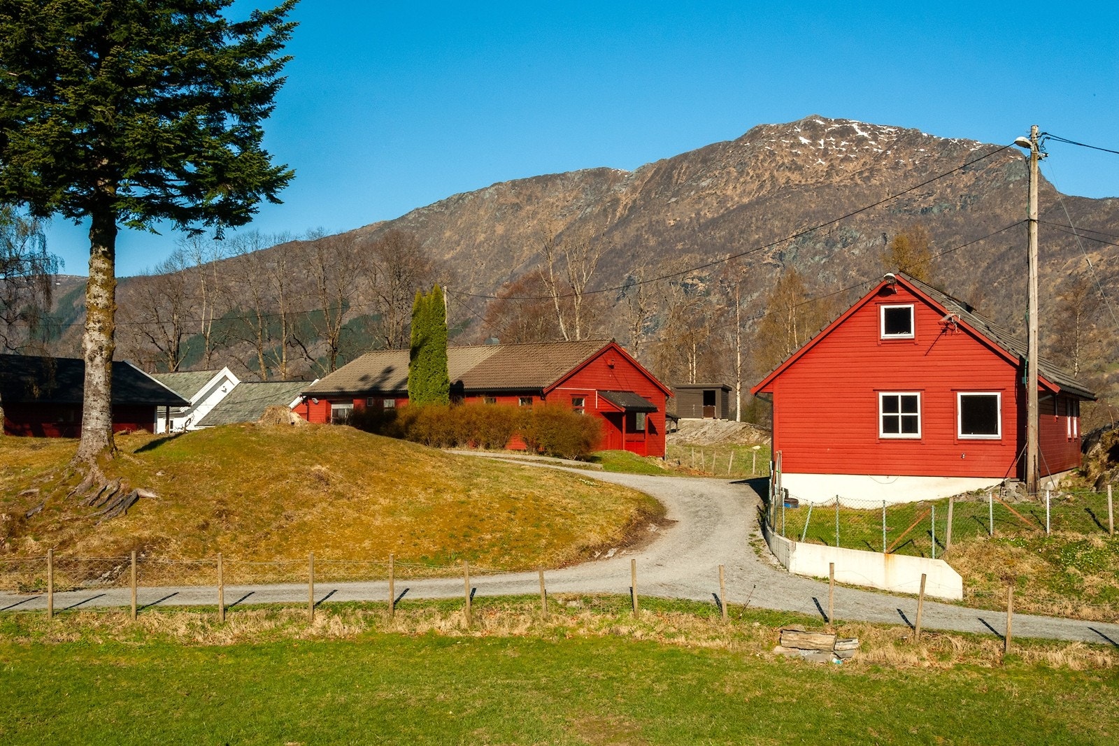 Skomakerbygget og i bakgrunnen ser man vekstedet. Galleribilde
