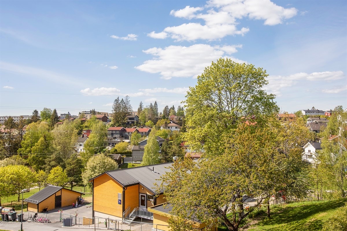 Utsikt over nærområdet fra veranda Galleribilde