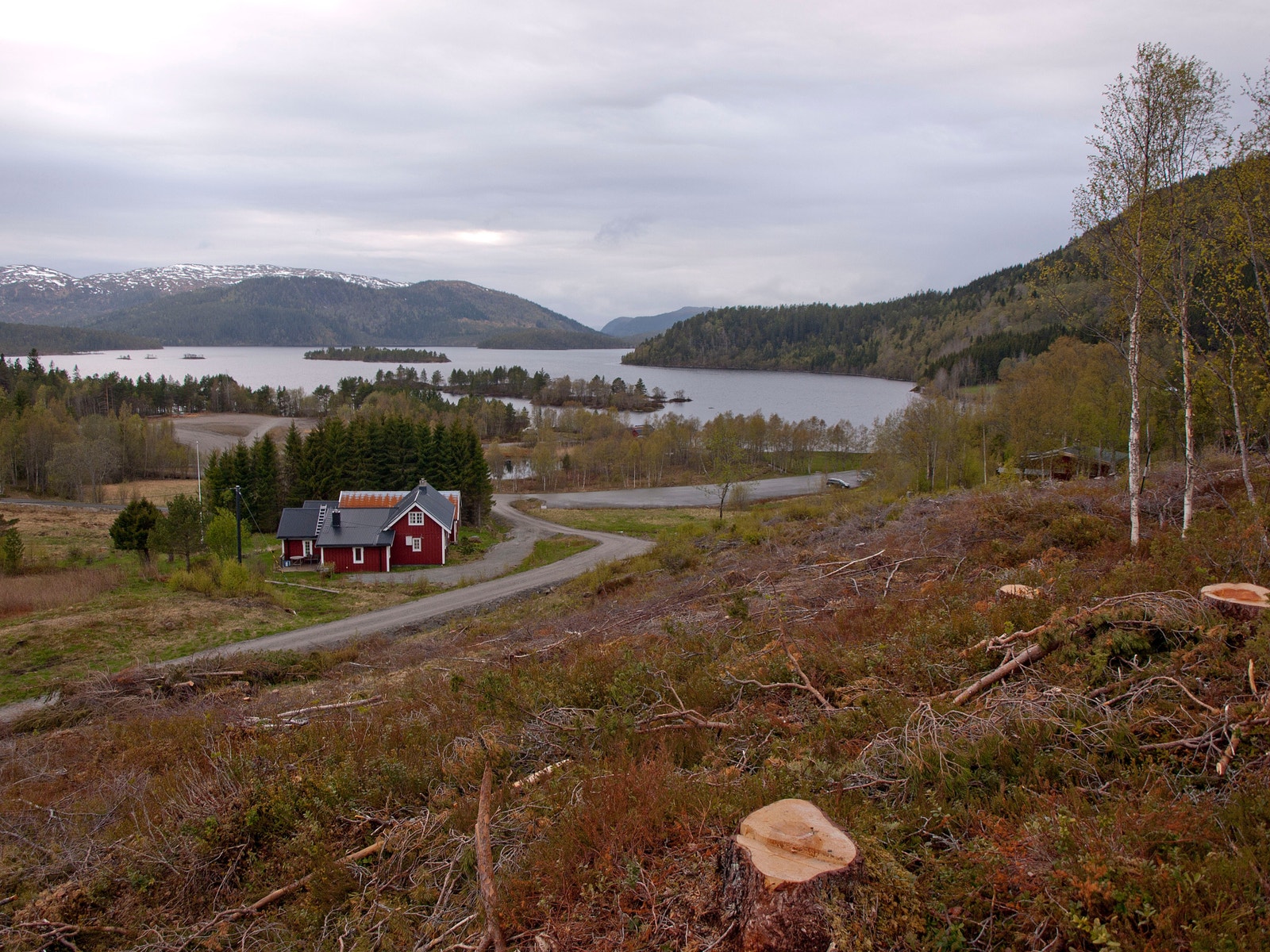 Utsikt fra tomt 4 og 9, vestover Galleribilde