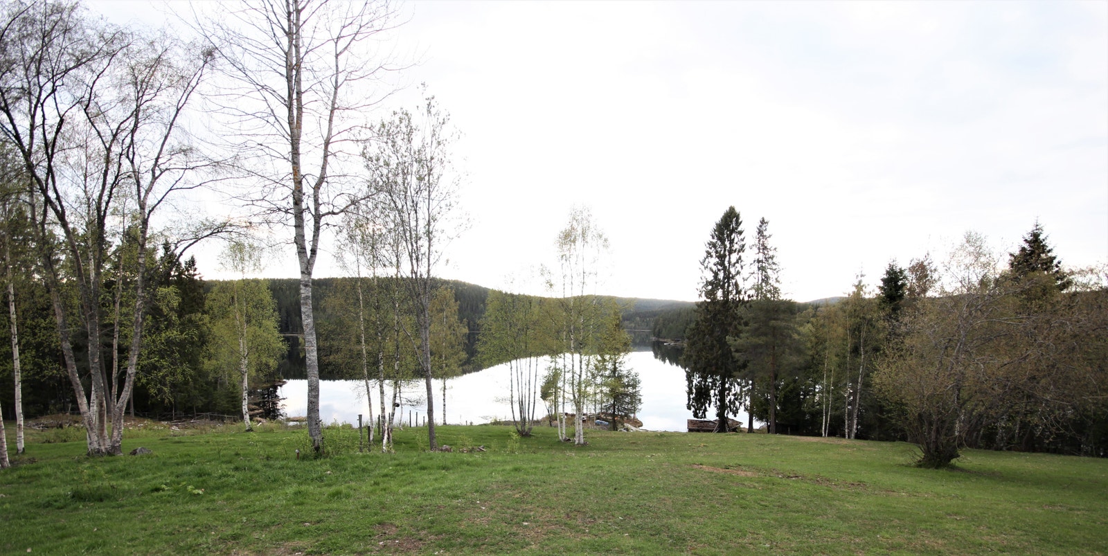 Nærmiljø Galleribilde