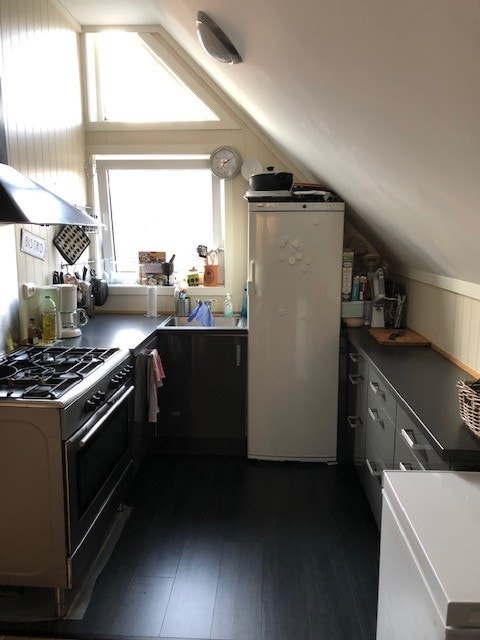 Det er induksjon/vanlig komfyr i dag Galleribilde