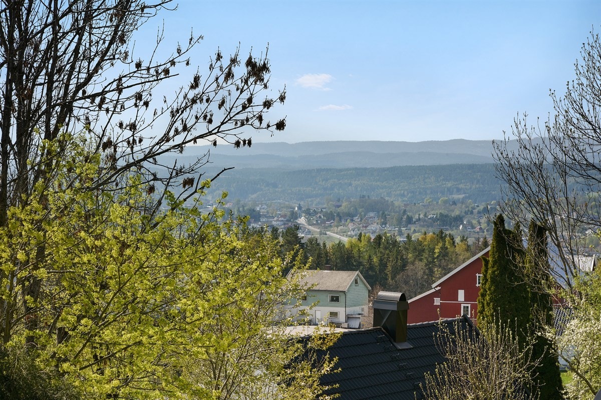 Fantastisk utsikt. Galleribilde