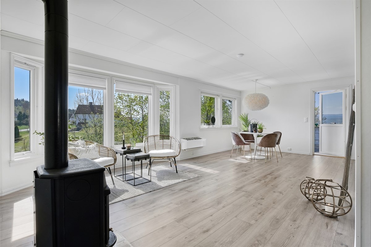 Stor og tiltalende stue. Galleribilde