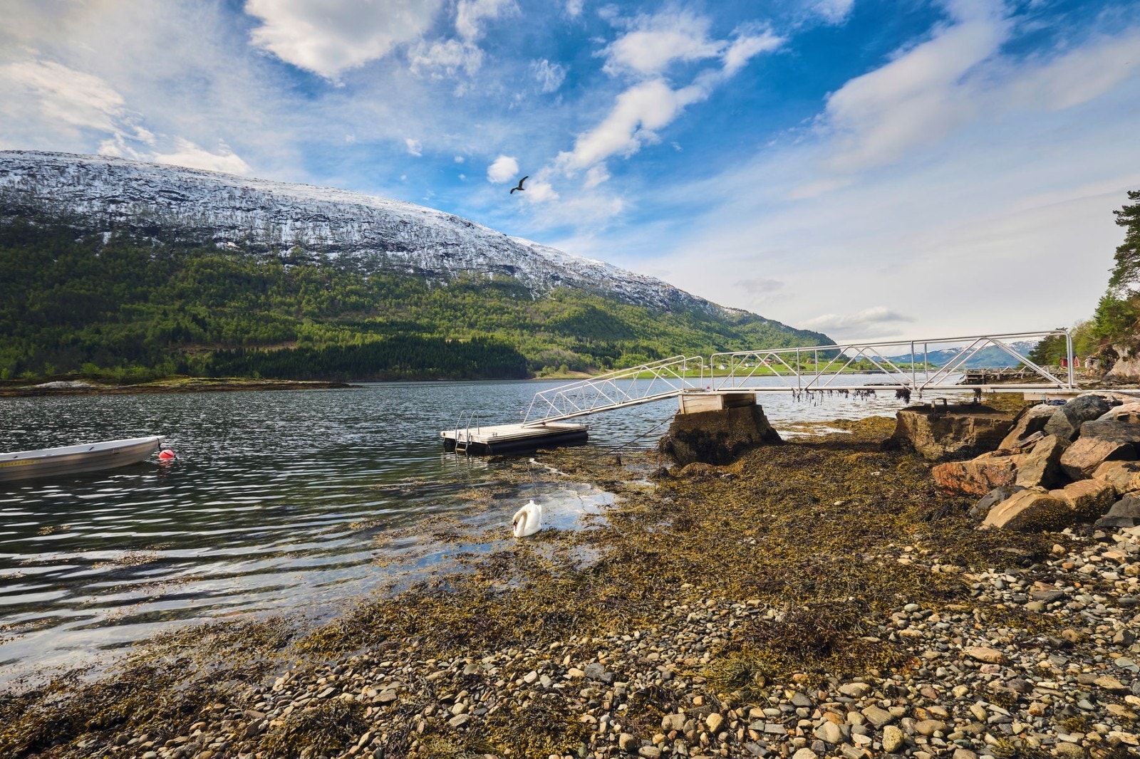 brygge 4 Galleribilde
