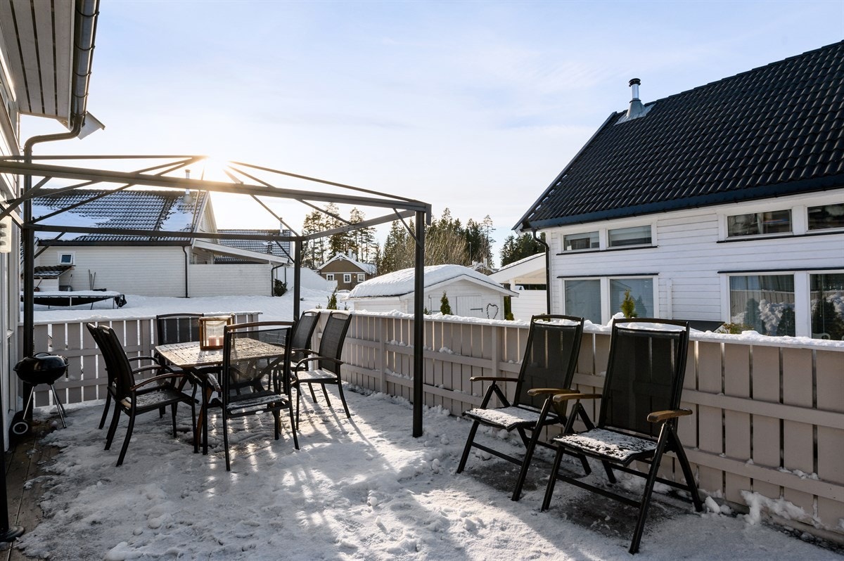 Terrassen. Galleribilde