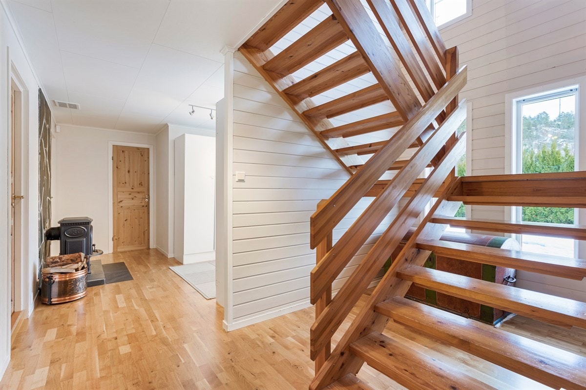 Hall i kjeller. Galleribilde