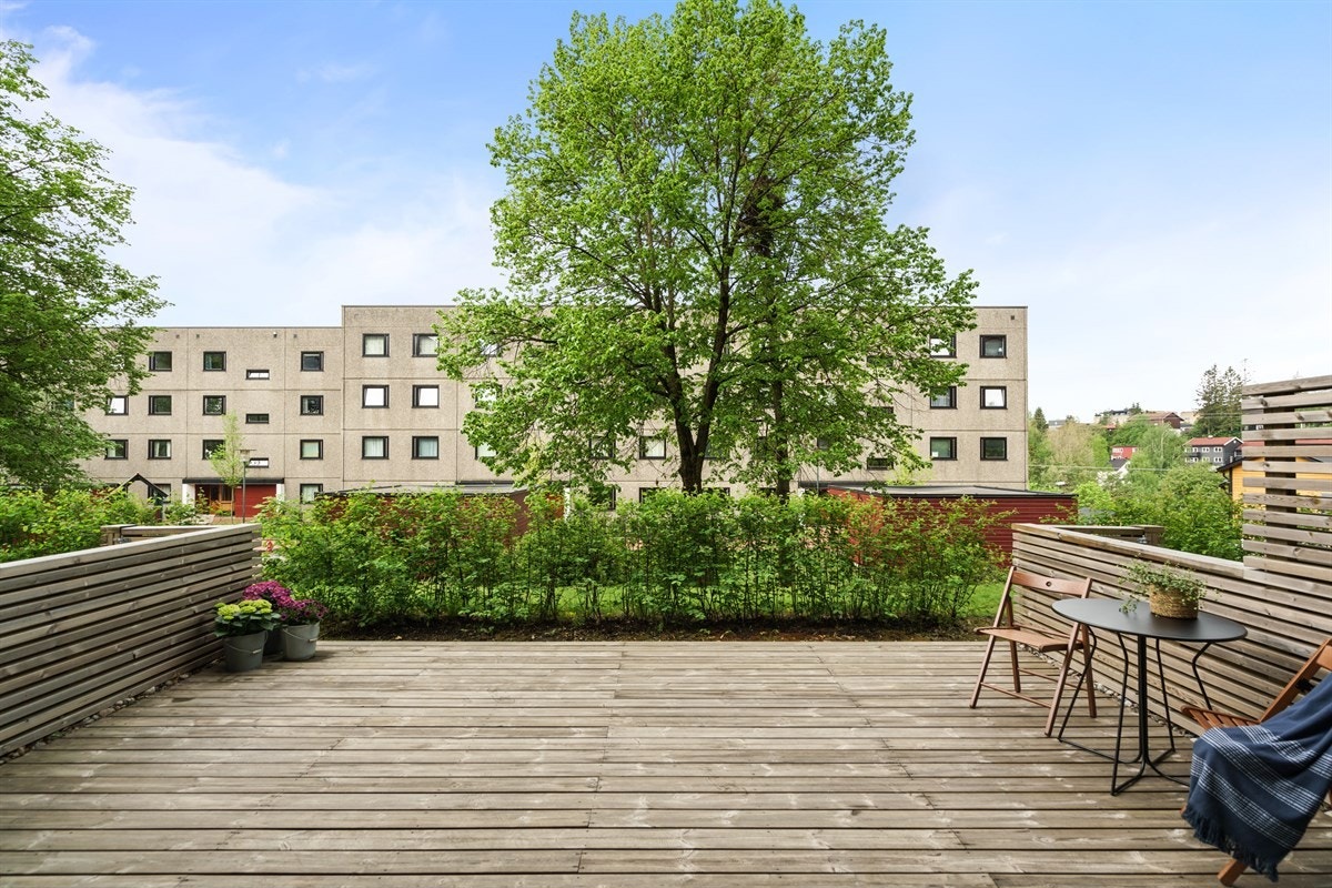 Her kan en nyte solen fra morgen til kveld. Galleribilde