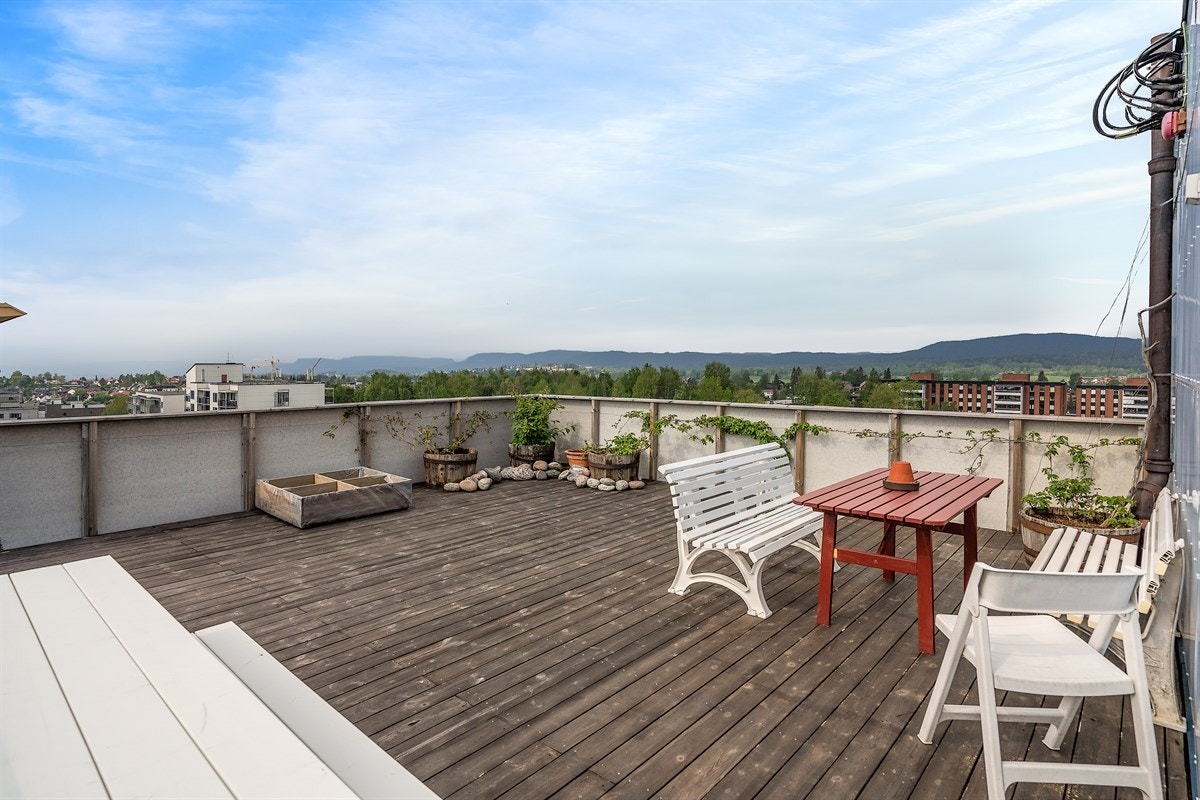 Solrik felles takterrasse Galleribilde