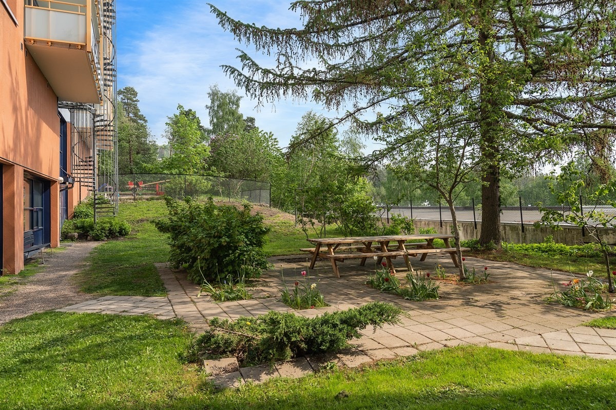 Flotte fellesareal. Det er fellesvaskeri, trimrom med badstue, solarium, bordtennisrom, sykkelbod og hybelutleie i borettslaget! Galleribilde