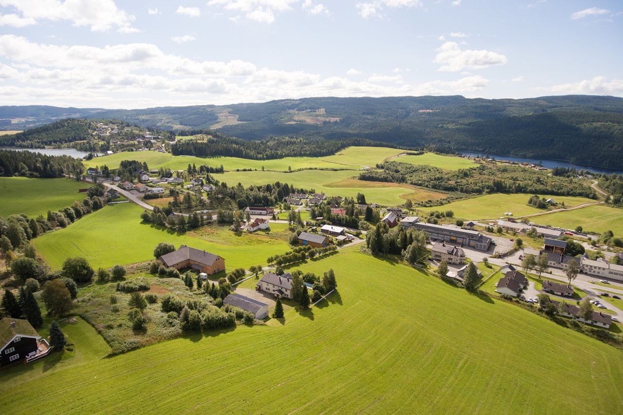 Gård og omgovelser Galleribilde