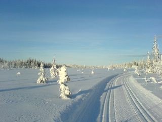 Oppkjørte skiløyper 20 mil til eiendommen Galleribilde