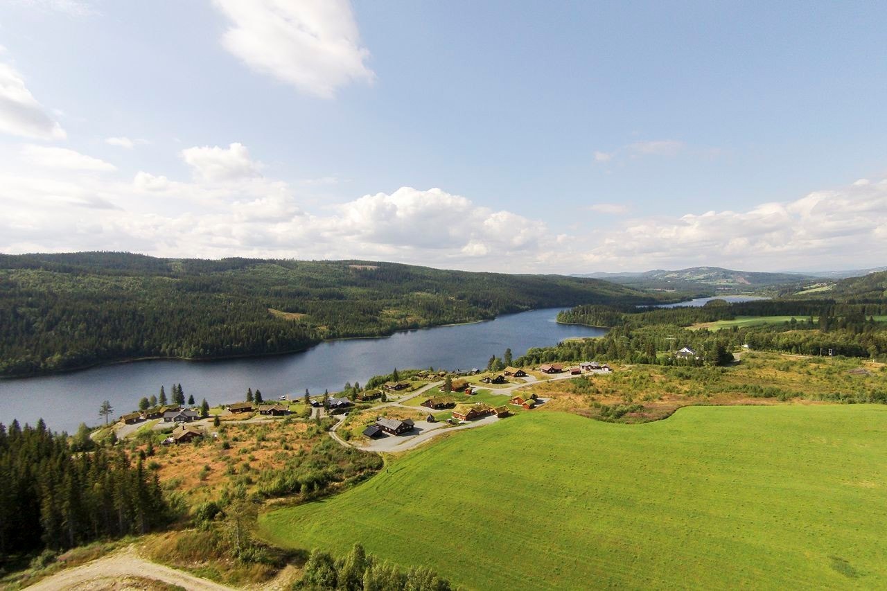 Hyttefelt Galleribilde