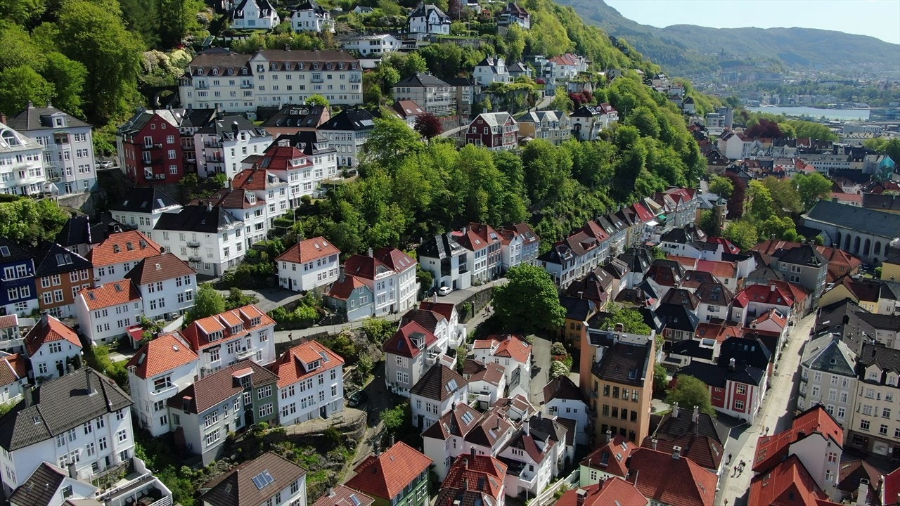 Et utrolig koselig nabolag. Galleribilde