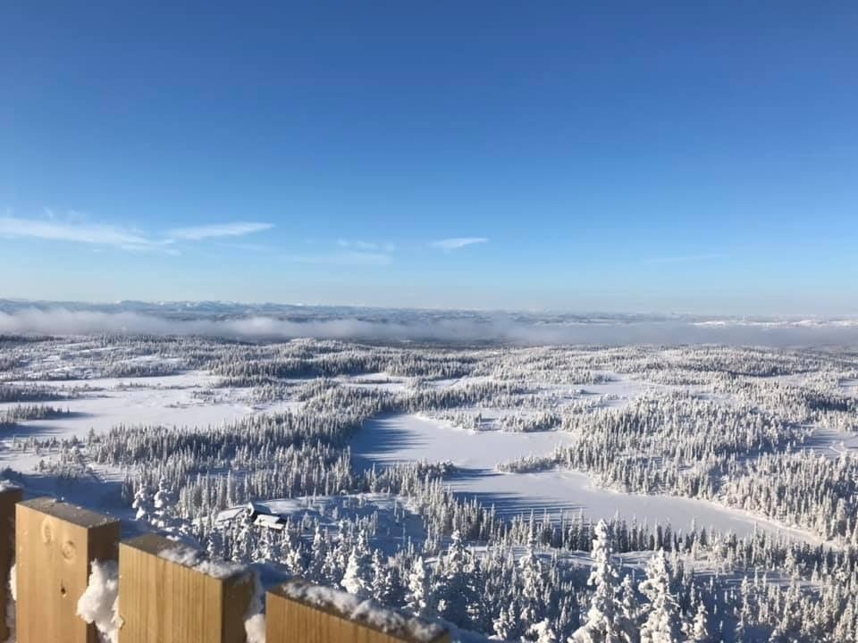 Utsikt fra tårnet på 827 moh Galleribilde