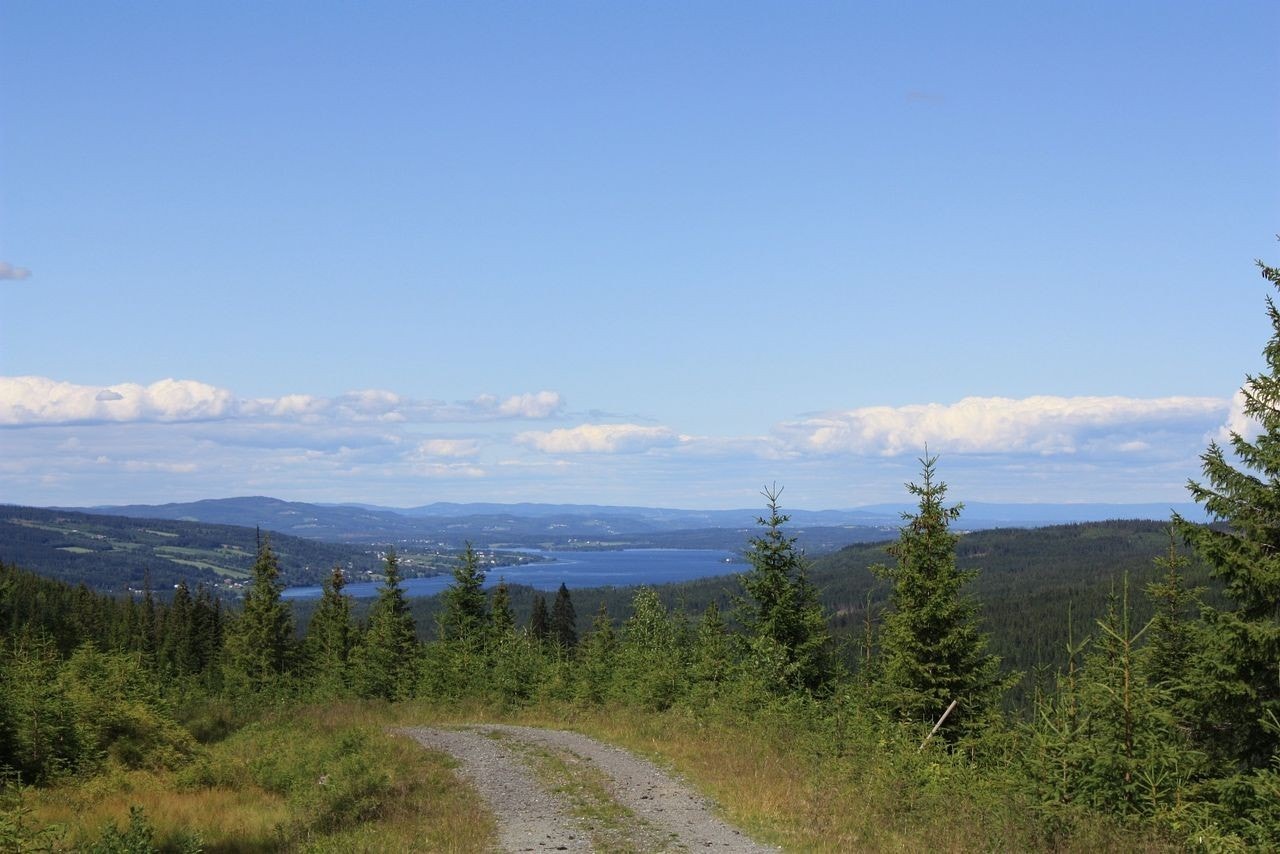 Utsikt mot Randsfjorden Galleribilde